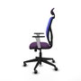 PIQUERAS Y CRESPO Silla de oficina Motilla con mecanismo Sincro, Azul y Morado