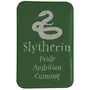 SD Toys Imán Harry Potter Slytherin PVC 54x78mm 8435450252068