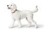 Hunter Collar Inari Alu-Strong L para Perro Cuello 40-55 cm Ancho 20 mm Rojo