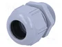 Lapp SKINTOP ST-M 25 X 1.5 Plata Poliamida M25 IP69