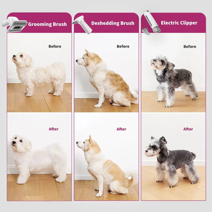 Petkit DT5-EU Aspiradora y Cortadora de Pelo para Mascotas, Negro y Púrpura Petkit DT5-EU Aspiradora y Cortadora de Pelo para Mascotas, Negro y Púrpura