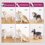 Petkit DT5-EU Aspiradora y Cortadora de Pelo para Mascotas, Negro y Púrpura