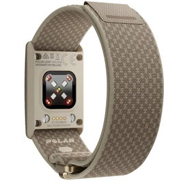Smartwatch Polar 920115932 Oro Arena