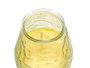 Ibergarden Vela Citronela Relieve Transparente