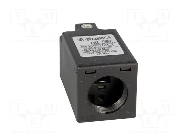 PIZZATO ELETTRICA FR 915 Interruptor de fin de carrera con roldana de polímero Ø11mm PIZZATO ELETTRICA FR 915 Interruptor de fin de carrera con roldana de polímero Ø11mm