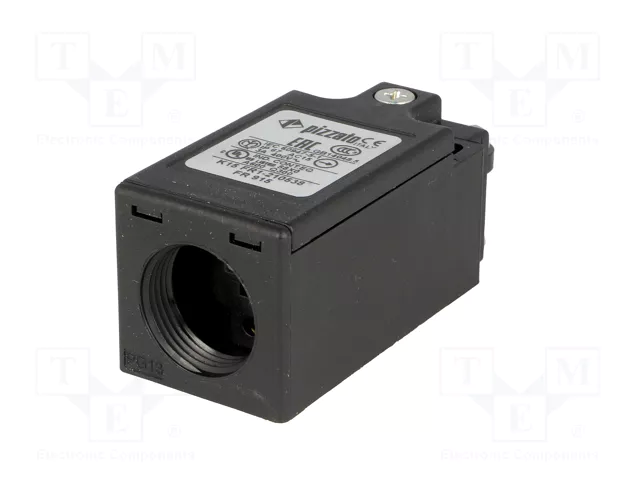 PIZZATO ELETTRICA FR 915 Interruptor de fin de carrera con roldana de polímero Ø11mm PIZZATO ELETTRICA FR 915 Interruptor de fin de carrera con roldana de polímero Ø11mm