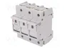 ETI POLAM Interruptor de fusible D02, 3 polos, 63A, 400VAC
