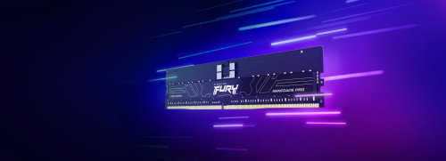 Kingston FURY Renegade Pro 16 GB DDR5 5600 MT/s ECC RDIMM CL36 DIMM