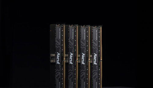 Kingston FURY Renegade Pro 16 GB DDR5 5600 MT/s ECC RDIMM CL36 DIMM
