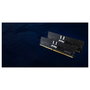 Kingston FURY Renegade Pro 16GB DDR5 5600MT/s ECC Reg CL36 DIMM Módulo de Memoria Negro