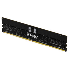 Kingston FURY Renegade Pro 16GB DDR5 5600MT/s ECC Reg CL36 DIMM Módulo de Memoria Negro