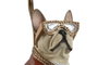 DKD Home Decor Lámpara de sobremesa Perro Blanco y Rojo en Resina y Metal