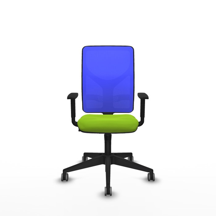 PIQUERAS Y CRESPO Silla de oficina Motilla con mecanismo Sincro, Azul y Pistacho PIQUERAS Y CRESPO Silla de oficina Motilla con mecanismo Sincro, Azul y Pistacho