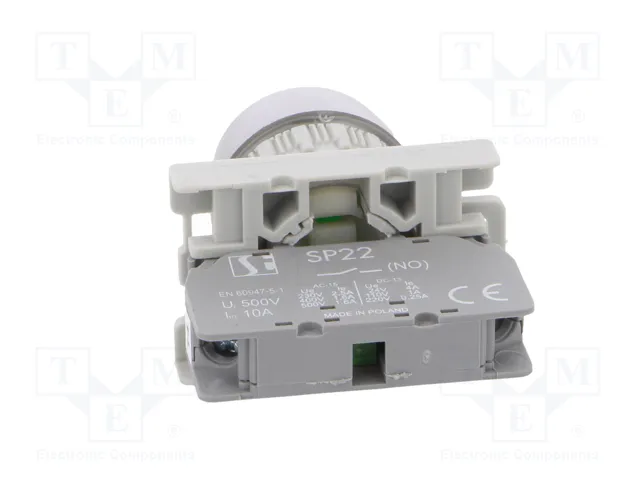 SPAMEL Interruptor de presión verde 22mm NA SPAMEL Interruptor de presión verde 22mm NA