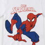 Cerdá Camiseta Corta Spiderman 8 Años Niños Algodón Estampado Modelos Surtidos