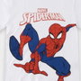 Cerdá Camiseta Corta Single Jersey Spiderman 8 Años - Modelos surtidos