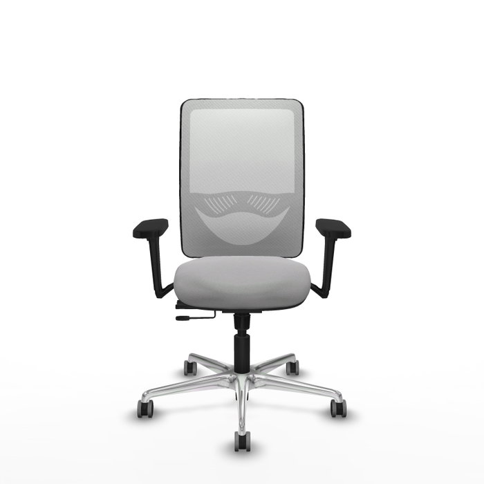 PIQUERAS Y CRESPO Silla de oficina Zulema con mecanismo Sincro/Traslack, Gris claro y Blanco PIQUERAS Y CRESPO Silla de oficina Zulema con mecanismo Sincro/Traslack, Gris claro y Blanco