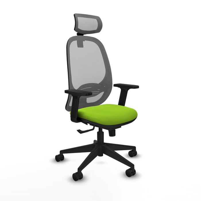 PIQUERAS Y CRESPO Silla de oficina Cilanco con mecanismo Sincro, Pistacho y Gris PIQUERAS Y CRESPO Silla de oficina Cilanco con mecanismo Sincro, Pistacho y Gris