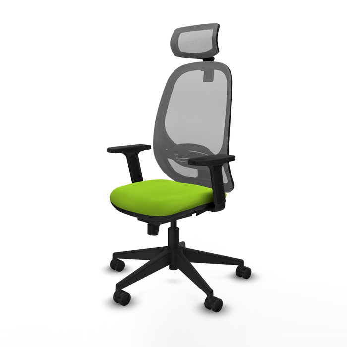 PIQUERAS Y CRESPO Silla de oficina Cilanco con mecanismo Sincro, Pistacho y Gris PIQUERAS Y CRESPO Silla de oficina Cilanco con mecanismo Sincro, Pistacho y Gris