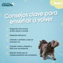 Correa de adiestramiento Coachi Puppy & Mini Verde 5 m
