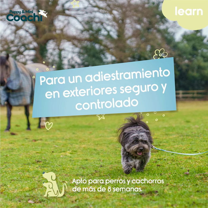 Correa de adiestramiento Coachi Puppy & Mini Verde 5 m