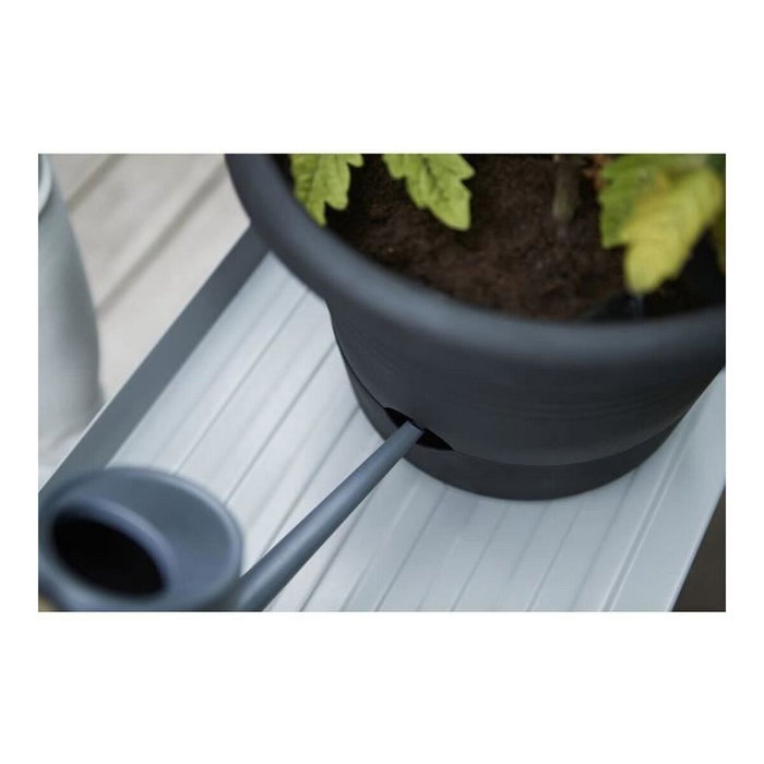 Elho Green Basics Pote para Tomate 33 cm Negro Brillante