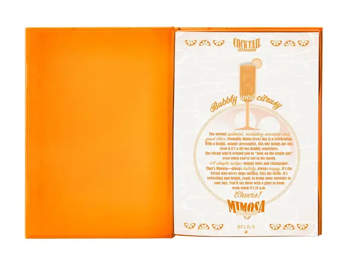 Belius Cocktails Bolígrafo y Tarjetero de Aluminio y Símil Piel, Naranja Plateado con Tinta Azul, Protección RFID, Caja Diseño