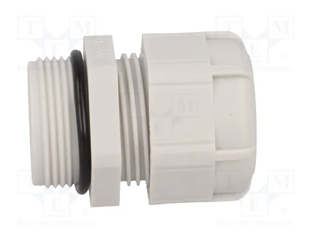 BM GROUP Sello aislante PG21 IP68 gris