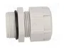 BM GROUP Sello aislante PG21 IP68 gris