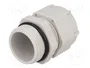 BM GROUP Sello aislante PG21 IP68 gris