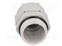 BM GROUP Sello aislante PG21 IP68 gris