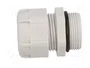 BM GROUP Sello aislante PG21 IP68 gris
