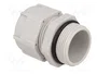BM GROUP Sello aislante PG21 IP68 gris