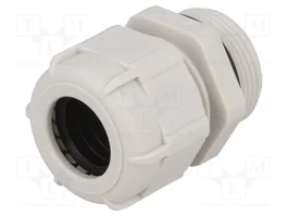 BM GROUP Sello aislante PG21 IP68 gris