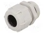 BM GROUP Sello aislante PG21 IP68 gris