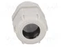 BM GROUP Sello aislante PG21 IP68 gris