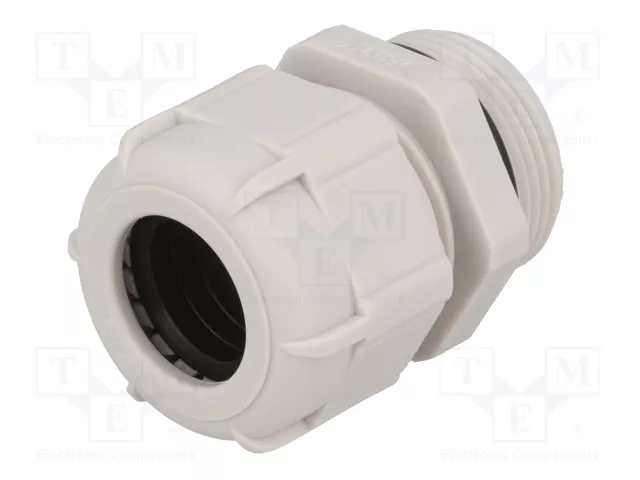 BM GROUP Sello aislante PG21 IP68 gris