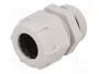 BM GROUP Sello aislante PG21 IP68 gris