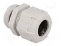 BM GROUP Sello aislante PG21 IP68 gris