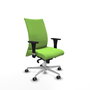 PIQUERAS Y CRESPO Silla Albacete Confidente Sincro Pistacho con Base de Aluminio y Brazos 1D