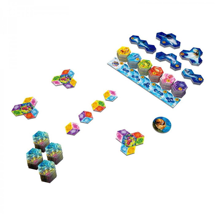 Devir Juego de Mesa AQUA - Estrategia, Colocación de Losetas, Construye Arrecifes de Coral, 1-4 Jugadores, 8+ Años, en Castellano, Portugués y Catalán