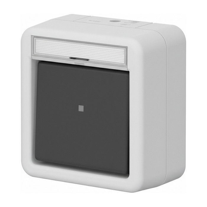 GIRA 311630 Wipp-Kontroll AusWe BSF WG AP Grau GIRA 311630 Wipp-Kontroll AusWe BSF WG AP Grau