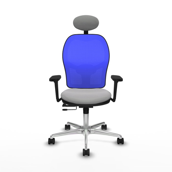 PIQUERAS Y CRESPO Silla de oficina Jorquera con mecanismo Sincro/Traslack, Gris claro y Azul PIQUERAS Y CRESPO Silla de oficina Jorquera con mecanismo Sincro/Traslack, Gris claro y Azul