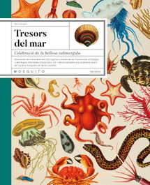 MOSQUITO, Tresors del mar - Núria Margarit