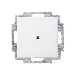 BUSCH-JAEGER Placa de pared/cubierta de interruptor 1715-0-0319 Blanco