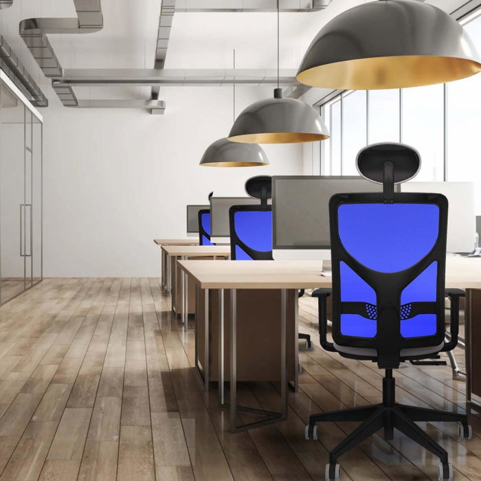 PIQUERAS Y CRESPO Silla de oficina Motilla con mecanismo Sincro/Traslack, Azul y Gris oscuro PIQUERAS Y CRESPO Silla de oficina Motilla con mecanismo Sincro/Traslack, Azul y Gris oscuro