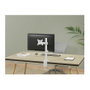 Equip Soporte de Monitor Articulado 17-32 pulgadas Blanco 650166
