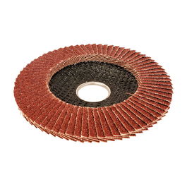 Workpro Disco Láminas Convexo Ø115 x 22,2 mm Grano 40 para Hierro Fundido, Acero y Madera