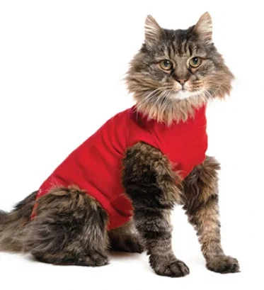 B. Braun Camiseta Protectora para Gato XS 40cm Roja B. Braun Camiseta Protectora para Gato XS 40cm Roja