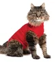 B. Braun Camiseta Protectora para Gato XS 40cm Roja